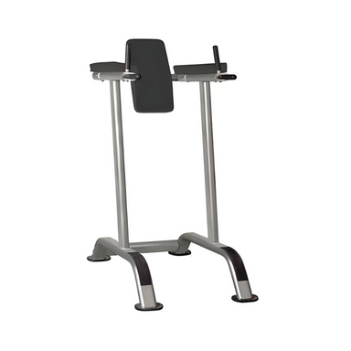 GymGear Elite Series Vertical Knee Raise Full Image